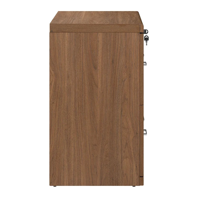 Classeur latéral à 2 tiroirs verrouillables en grain de bois expresso / naturel / blanc / noir pour 1