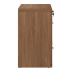 Classeur latéral à 2 tiroirs verrouillables en grain de bois expresso / naturel / blanc / noir pour 1